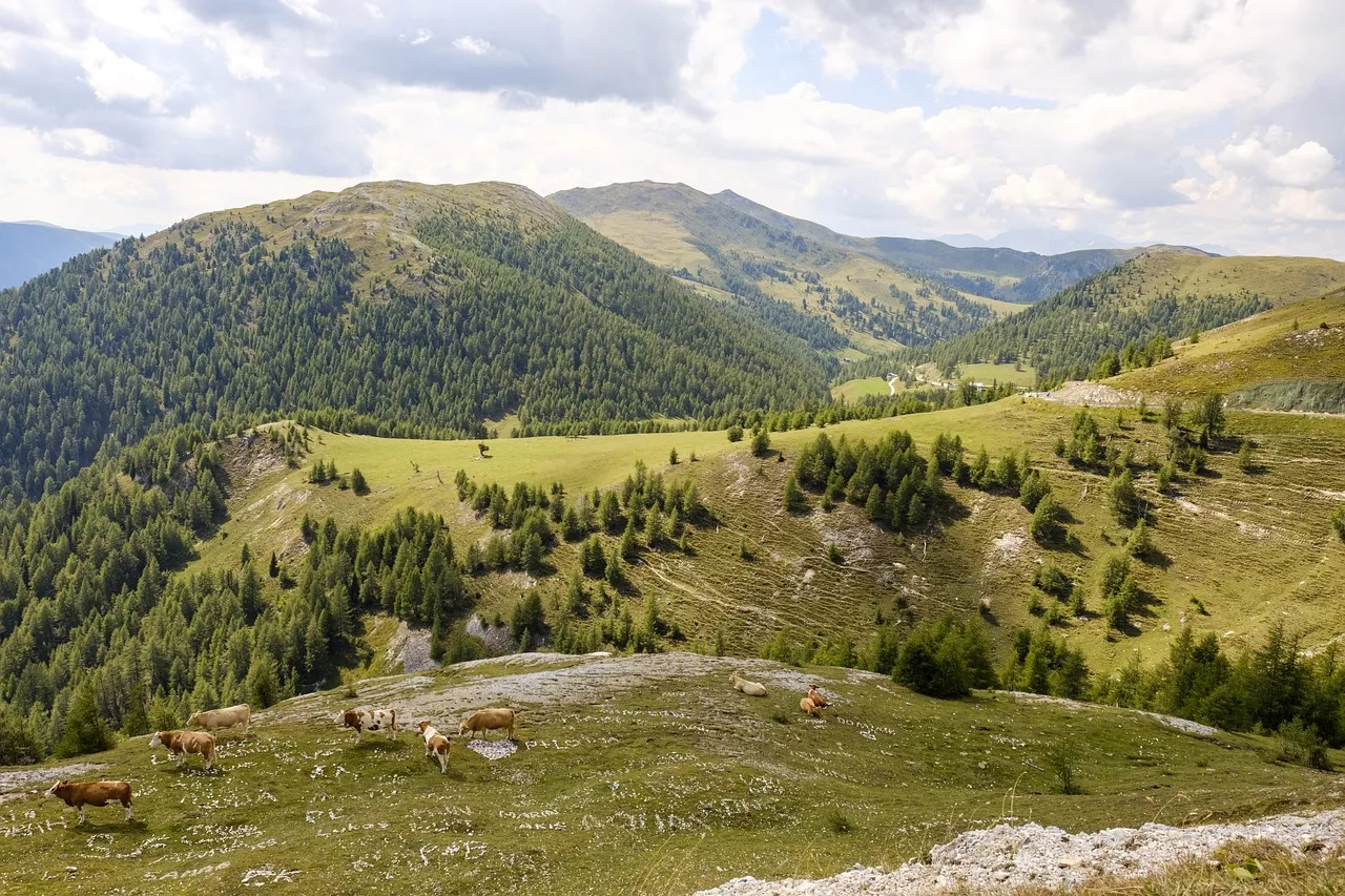 Alpen in der Region Nockberge
