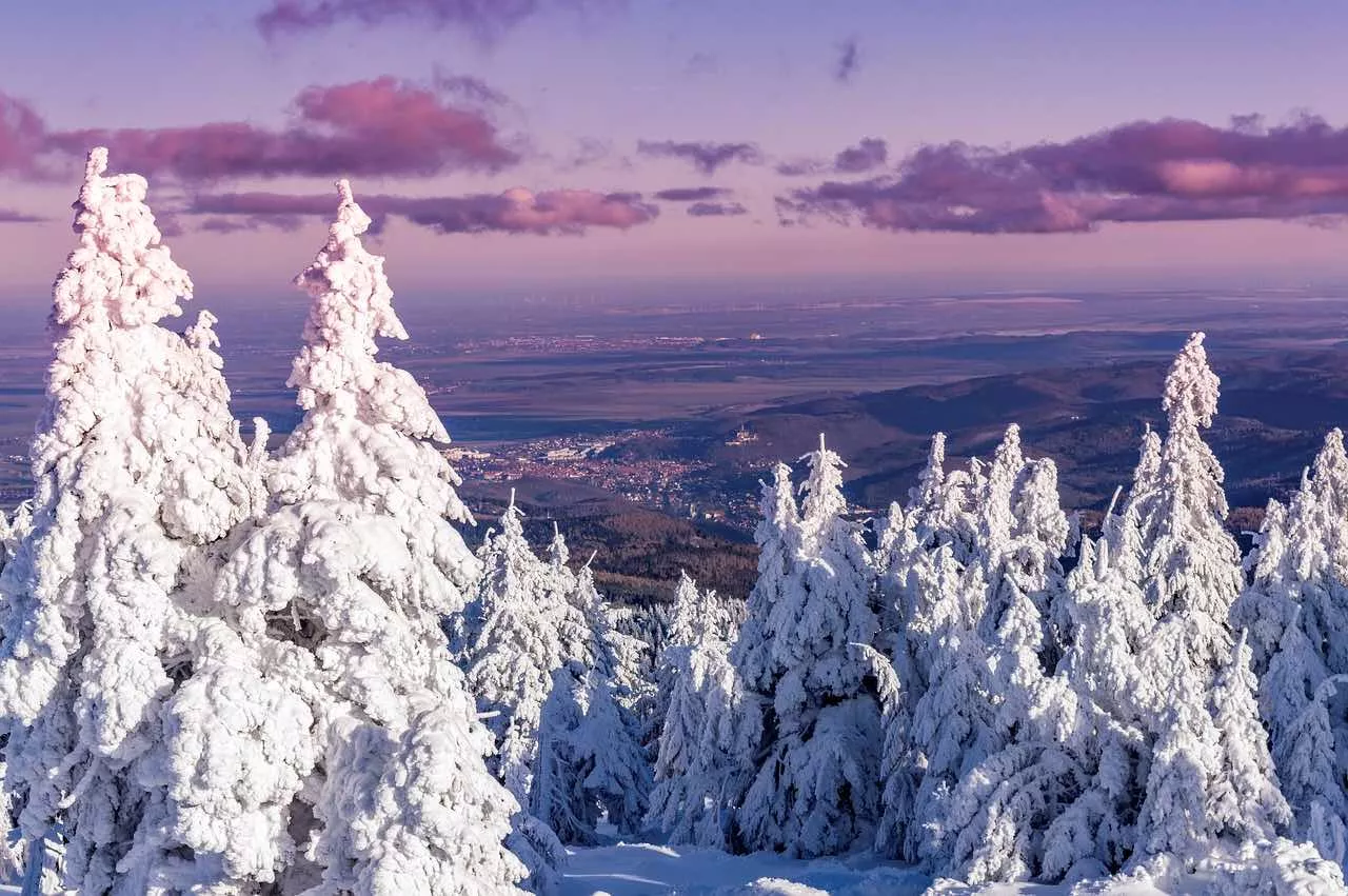 Harz im Winter