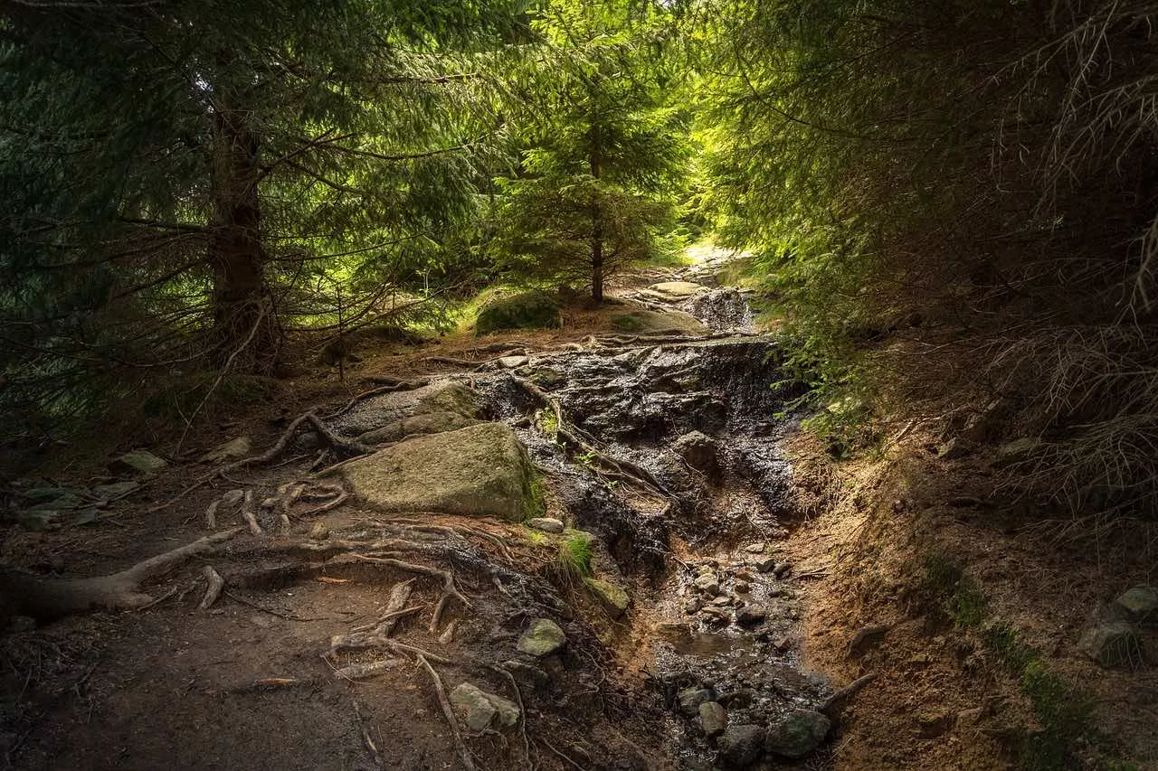 Harz wanderung zum Brocken