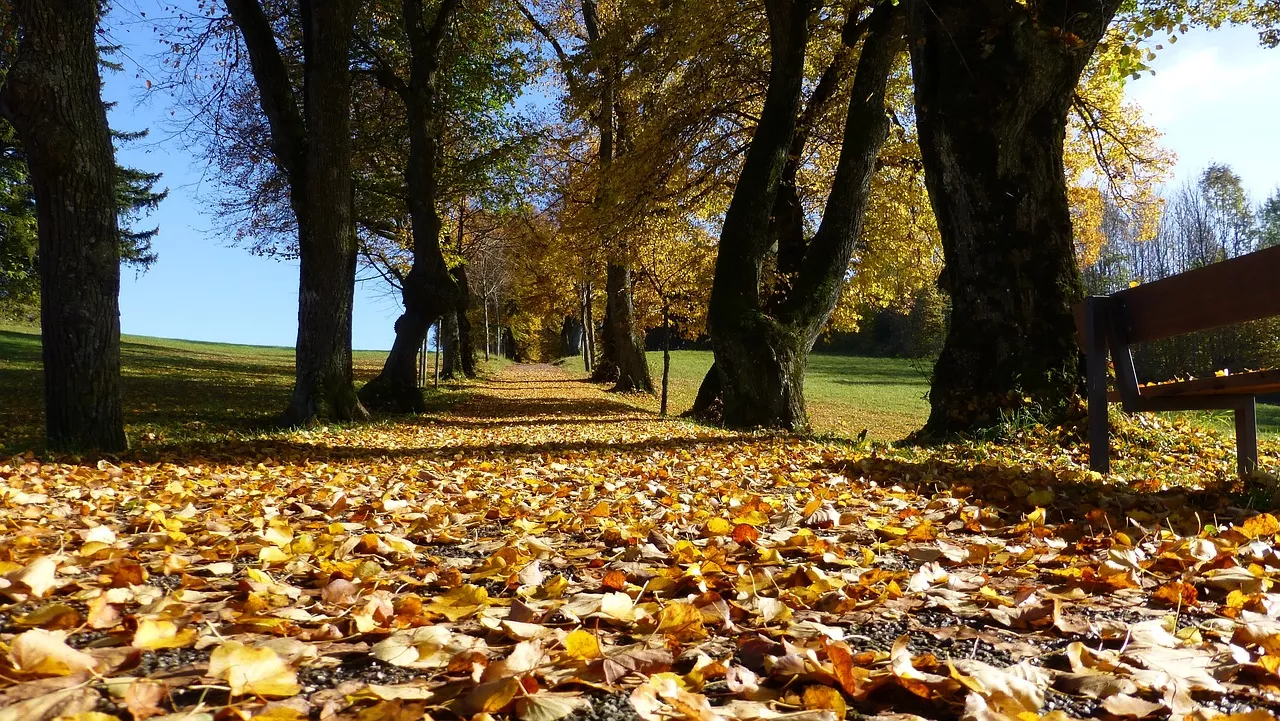 Herbst im Allgäu