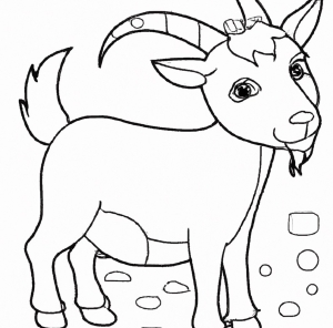 Malvorlage Ziege