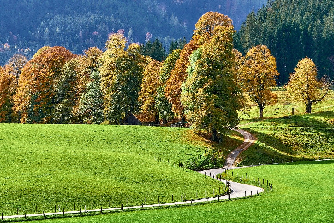 Natur in Ramsau am Dachstein