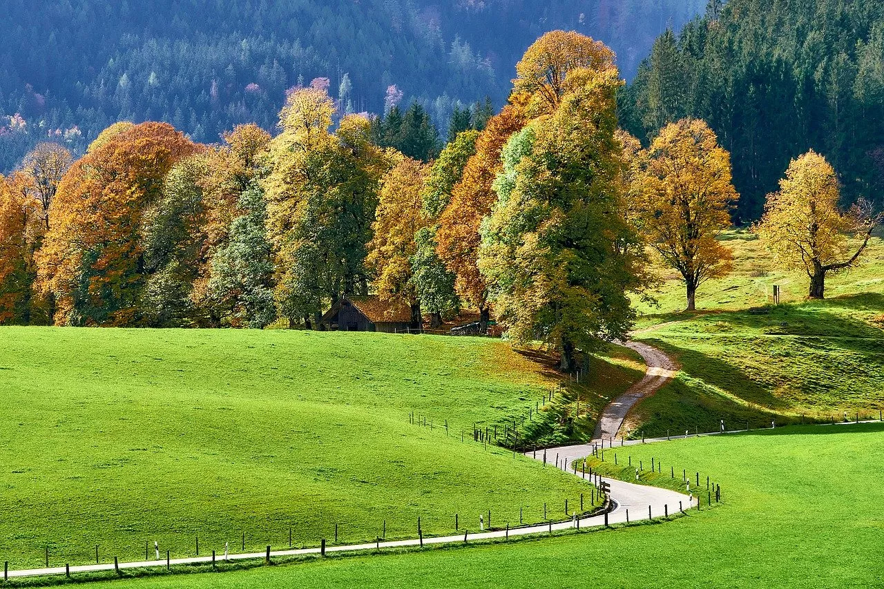 Natur in Ramsau am Dachstein
