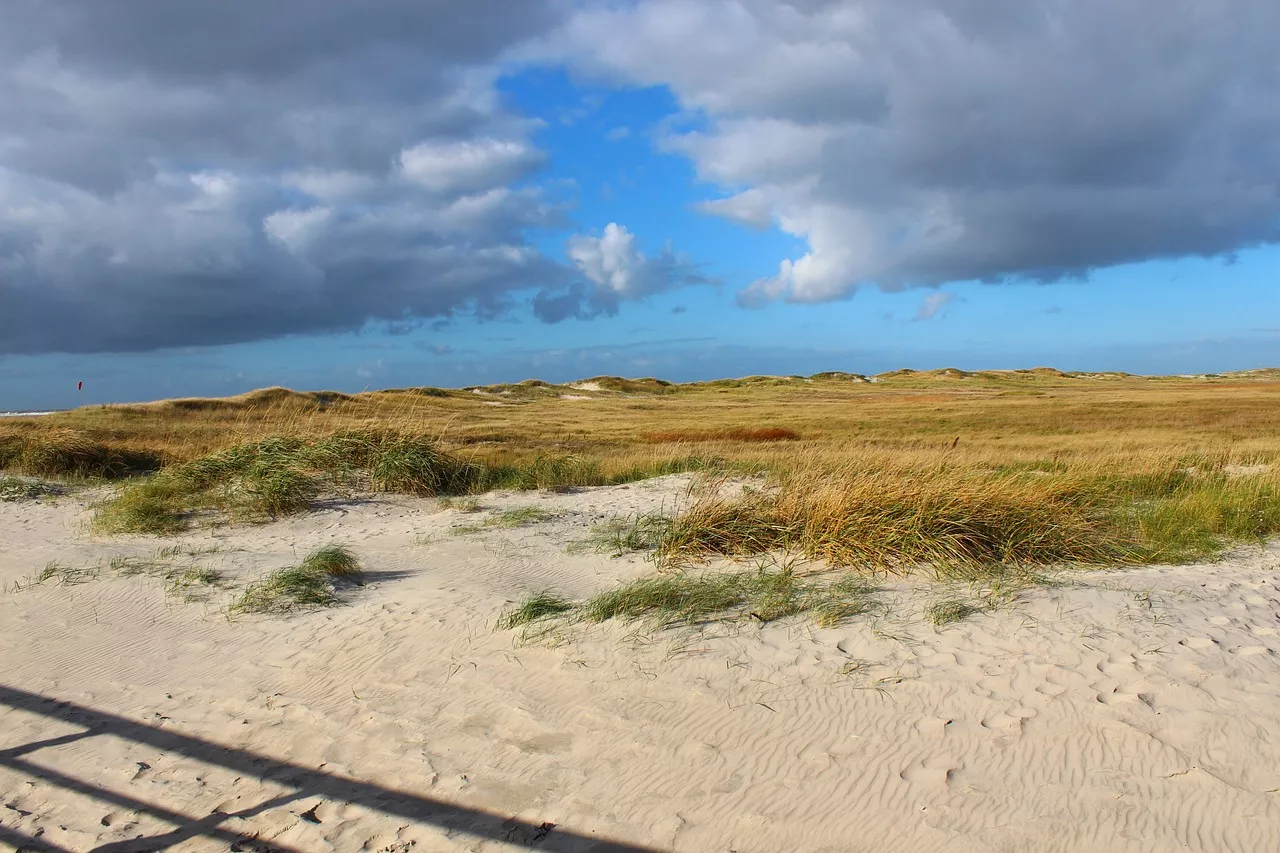 Sand-Dünen in St. Peter-Ordingen