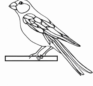 Malvorlage Vogel