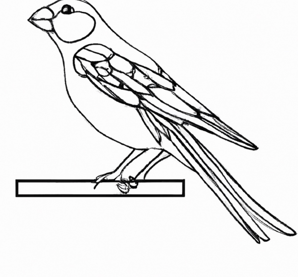 Malvorlage Vogel