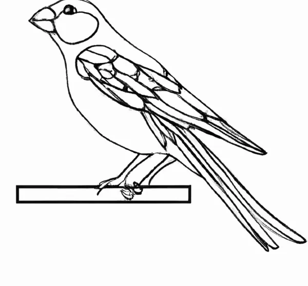 Malvorlage Vogel