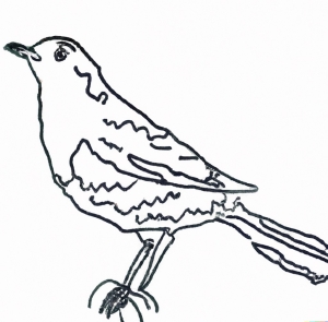 Malvorlage Vogel