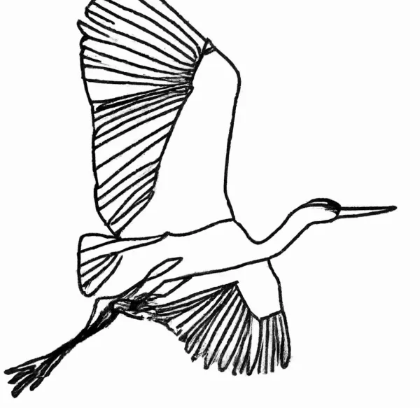 Malvorlage Vogel Storch